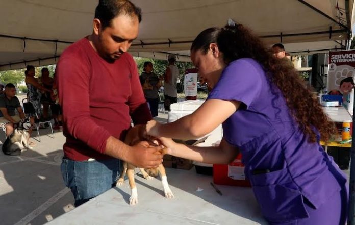 Escobedo refuerza vacunación y desparasitación de mascotas para controlar plagas y enfermedades