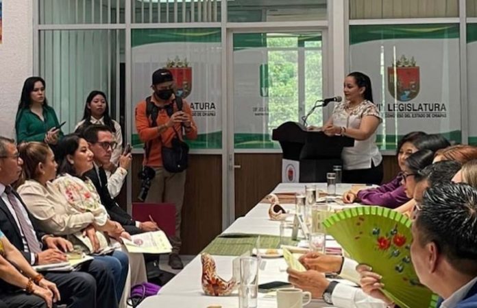 Importante que reforma del Poder Judicial contemple impartición de justicia en sociedades culturalmente diversas, respetando contextos locales: Adriana Bustamante