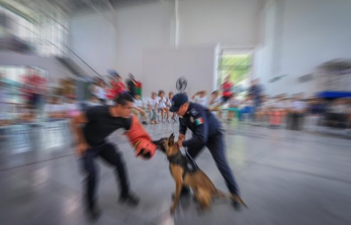 Interactúan Niñas STEM con policías caninos de Guadalupe