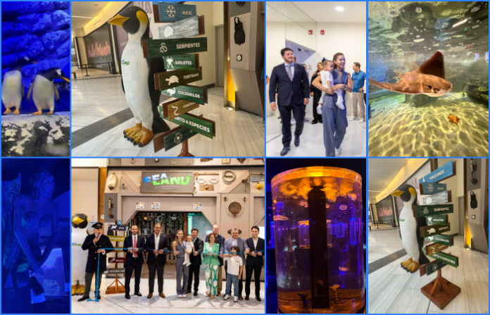 “Nuevo León ya no solamente es industria, no solamente es hacer negocio, también ya es turismo”; dice Samuel García tras la apertura del Acuario Sealand Monterrey
