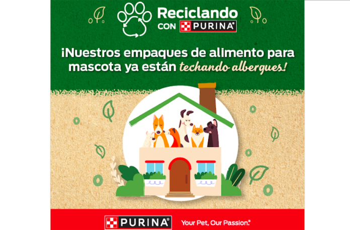 Celebra el regreso a clases creando un mundo feliz con tu mejor amigo, ¡tu mascota!