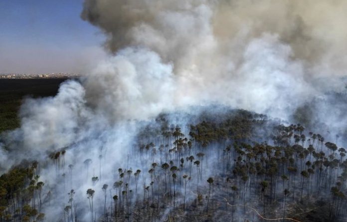Más de 10 millones de brasileños están afectados por los incendios