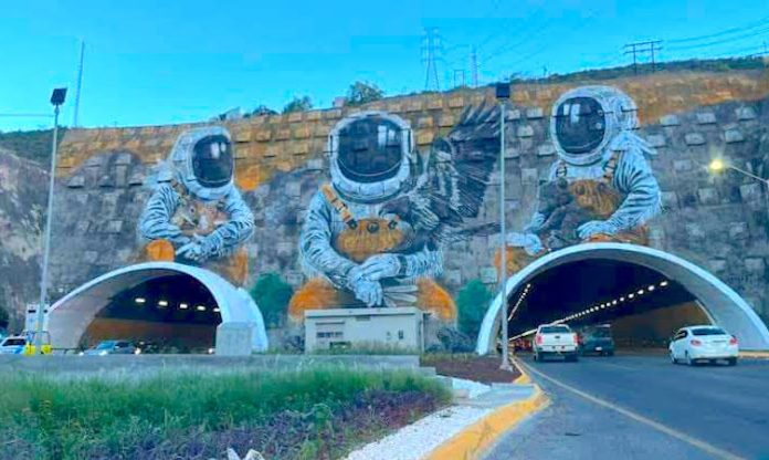 Waldo Fernández lamenta falta de mantenimiento en el túnel de Loma Larga
