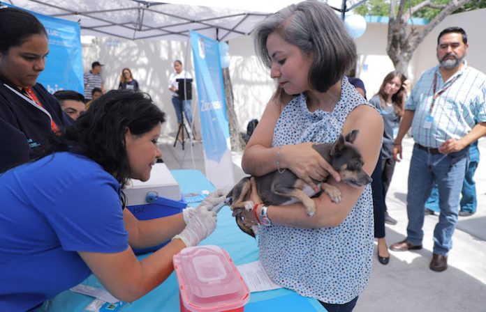 Centros de Salud aplicarán vacuna antirrábica gratuita este 28 de Septiembre