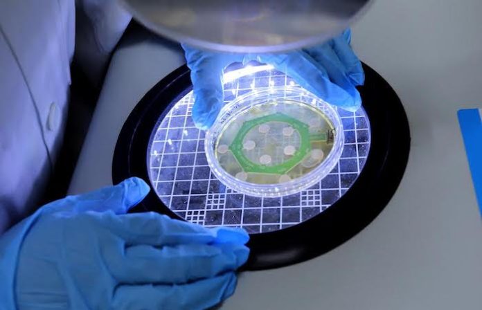 Ofrece UANL Licenciatura en Microbiología en Higiene Alimentaria