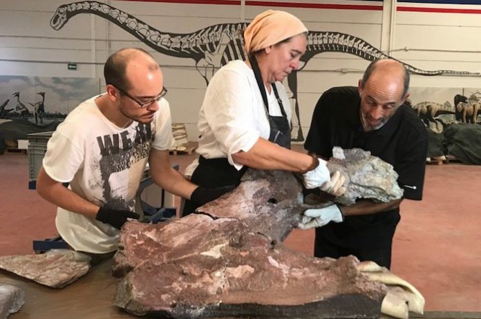 Descubren una nueva especie de dinosaurio que habitó España hace 75 millones de años