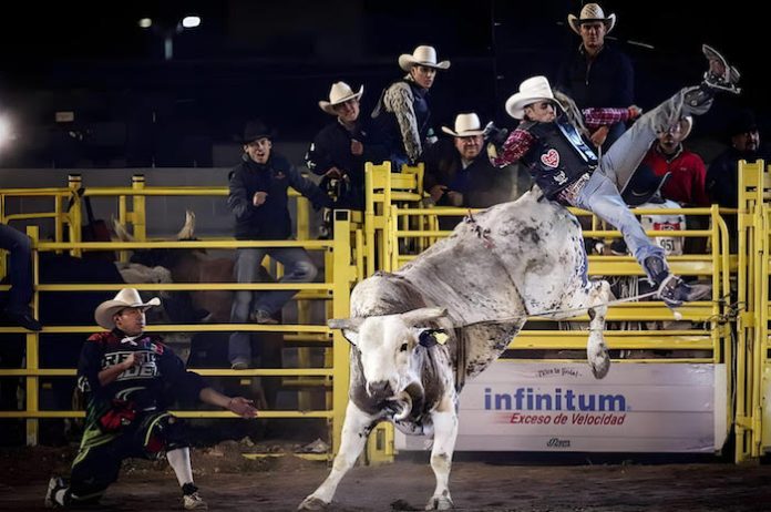 Saltillo se alista para recibir a 75 mil visitantes en el Festival Rodeo 2024