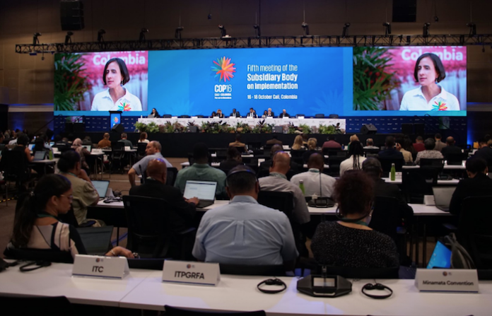 Colombia se prepara para la COP16, una cumbre clave sobre biodiversidad y crisis climática