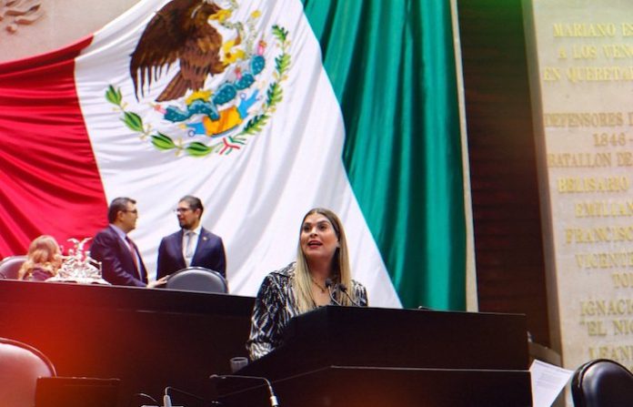 Propone Ana González protocolo de atención integral para pérdidas gestacionales y neonatales