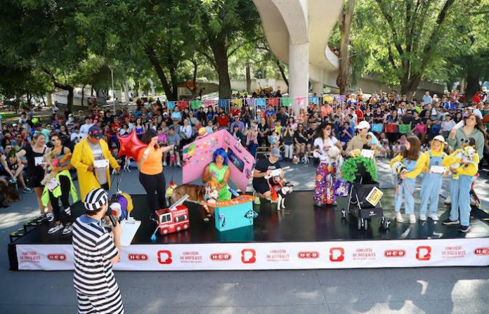 San Pedro de Pinta se llena de magia y creatividad con su concurso de disfraces