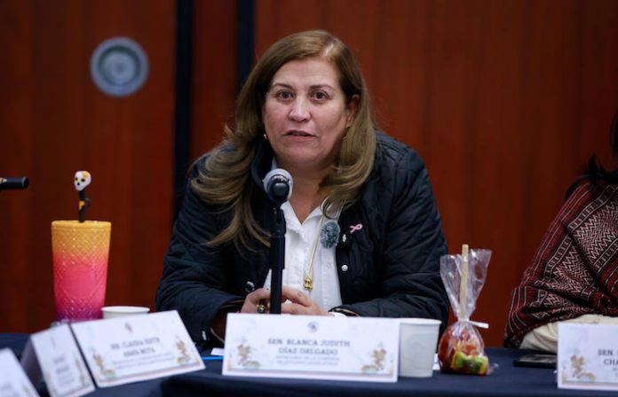 El Infonavit recobra su sentido social: Senadora Judith Díaz celebra reforma para garantizar vivienda digna