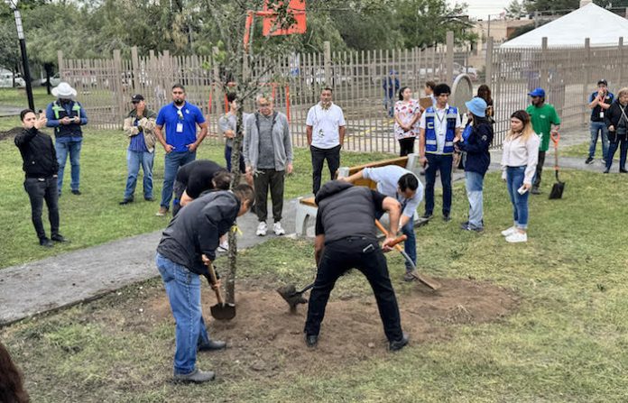 Inicia tercera temporada de “Arboleando San Nicolás”, con la meta de sembrar más de 1,500 árboles