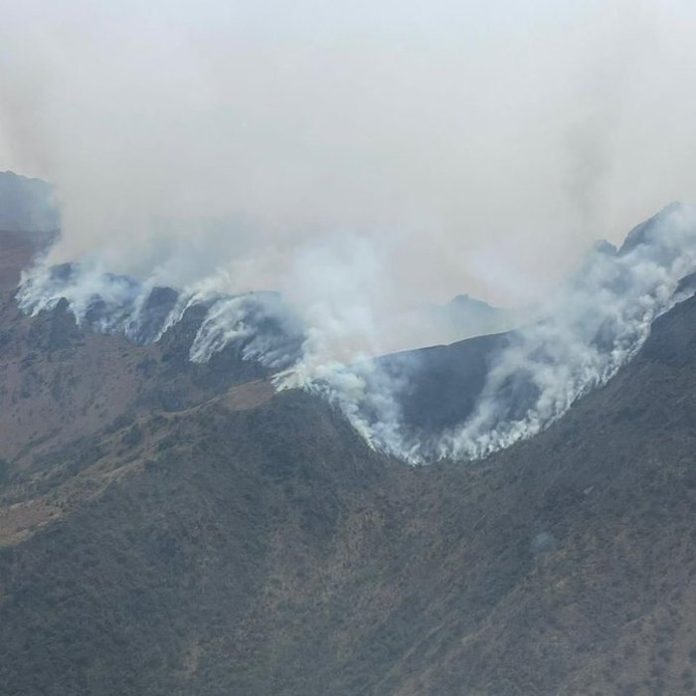 Incendios consumen más de 900 hectáreas en el Parque Nacional Cajas de Ecuador