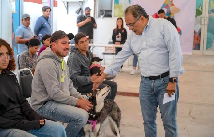 Escobedo impulsa el bienestar animal con macrobrigada de esterilización