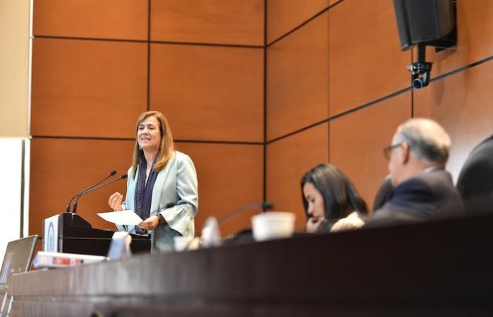 Plantean elaborar protocolos de atención a la niñez y adolescencia, en los programas de protección civil ante desastres naturales