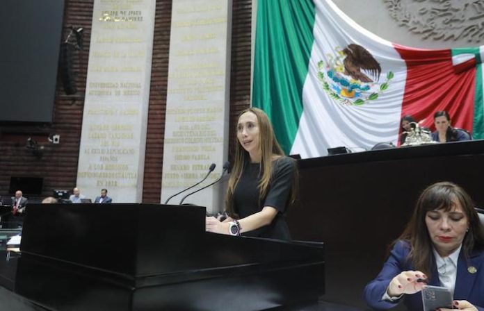 Propone Nayeli Fernández garantizar seguro de gastos mayores para personas de la tercera edad