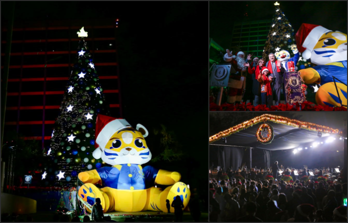 Enciende UANL luz de esperanza con pino navideño