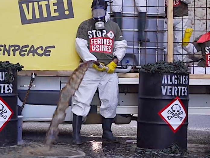 Greenpeace Francia decide abandonar la red social X