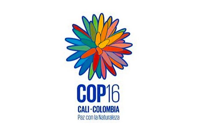 Nuevo León compartirá experiencias de conservación en la COP16 de biodiversidad en Colombia
