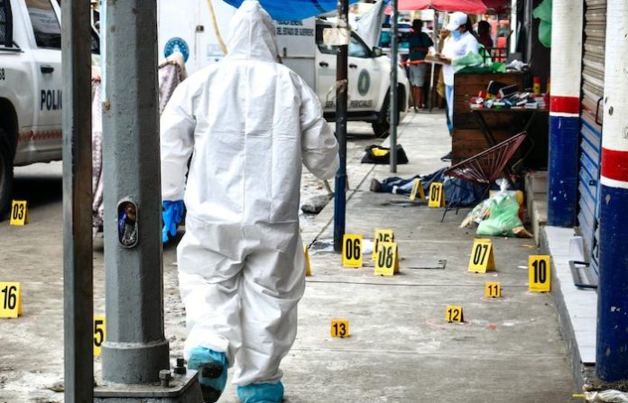 Sheinbaum insiste en que regresar a la guerra contra el narco es “ir hacia el fascismo”