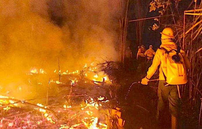 Superficie quemada en Brasil aumenta un 90% en casi un año, según instituto