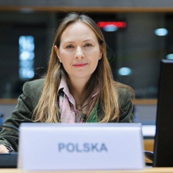 Polonia lanzará cuatro microsatélites espaciales de reconocimiento en 2025