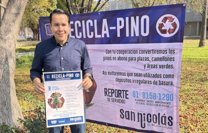 San Nicolás instala 8 centros de acopio para reciclaje de pinos navideños