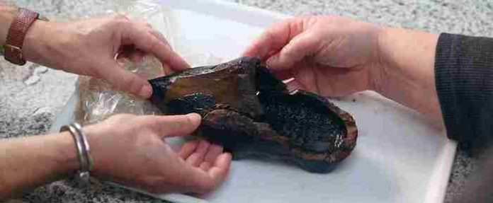 Hallan en los Países Bajos un zapato de madera de 500 años en impresionante estado