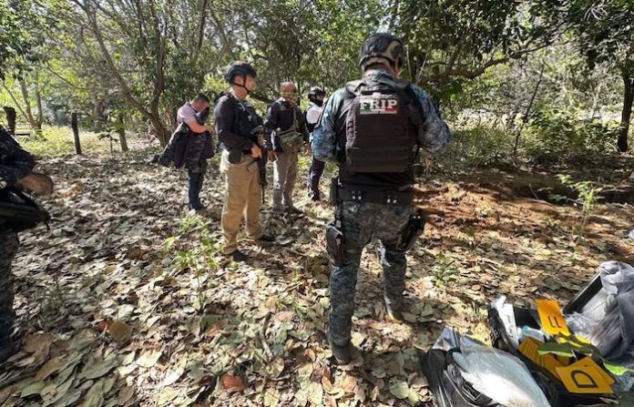 Quince cuerpos hallados en fosas clandestinas en la región Frailesca de Chiapas