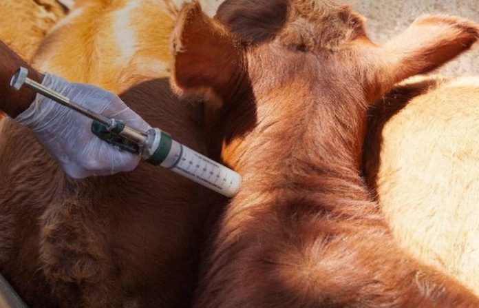 Uruguay suspende importación de productos de origen animal desde Alemania e Israel