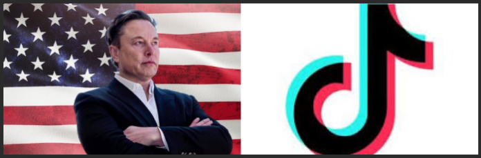 Reportan que en China estarían considerando la venta de TikTok a Elon Musk