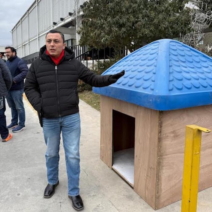 San Pedro protege a perros callejeros del frío con refugios temporales