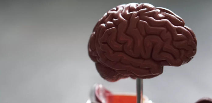 Ensayan en el Reino Unido una interfaz cerebro-computadora que podría mejorar el estado de ánimo