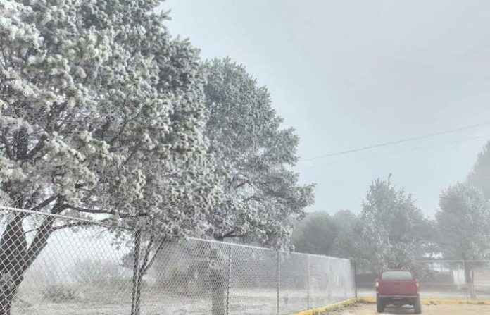 NL despierta bajo un manto blanco: Agua nieve sorprende a la entidad