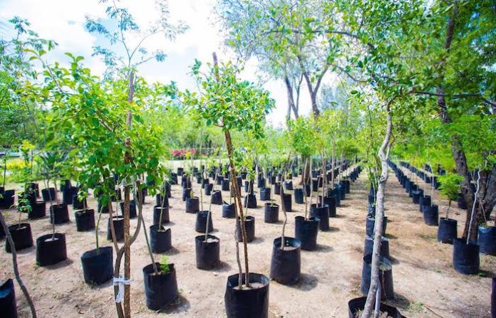 Ratifican a UANL como la universidad más sustentable del país