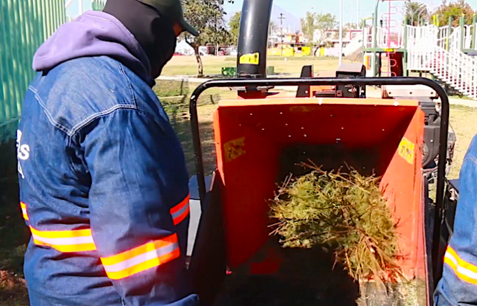 Escobedo lanza programa de reciclaje de pinos navideños