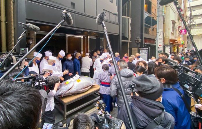 Pagan más de $1,3 millones por un atún en la primera subasta del año en Japón