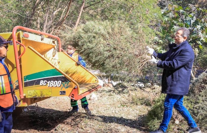 Monterrey refuerza su compromiso con el medio ambiente y la comunidad en inicio de año