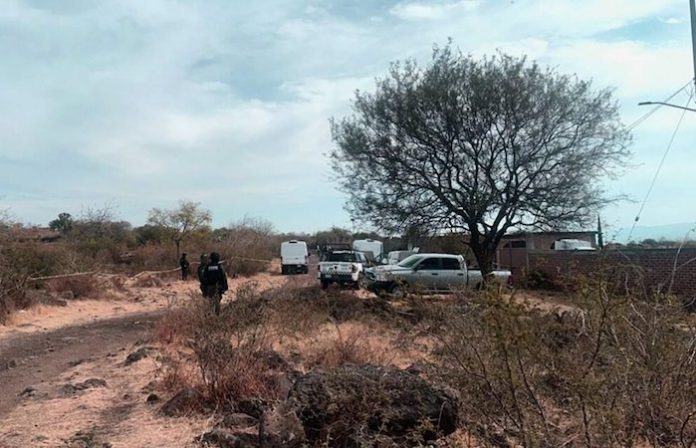Fuerzas de seguridad abaten a ocho presuntos sicarios en el estado de Guanajuato