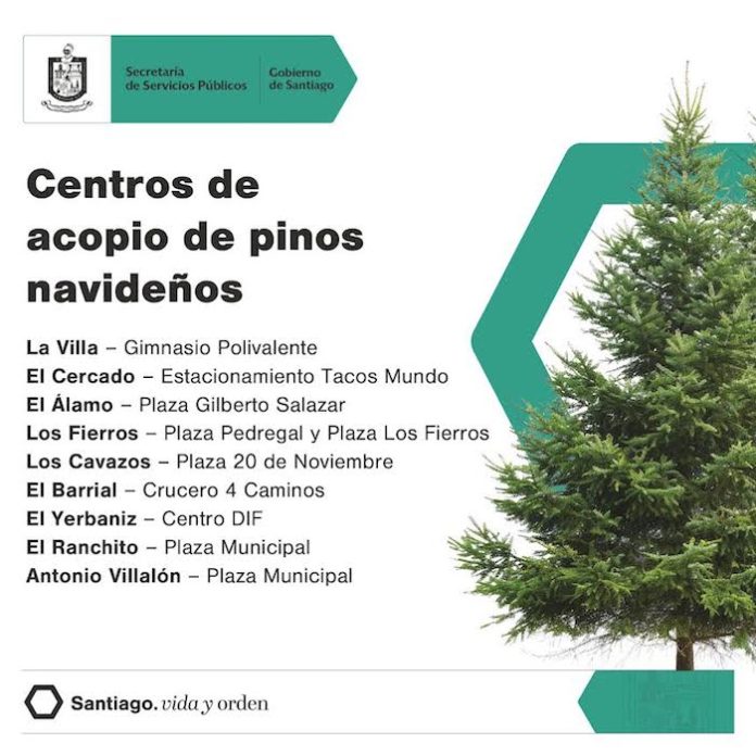 Santiago promueve el reciclaje con 10 centros de acopio para pinos navideños