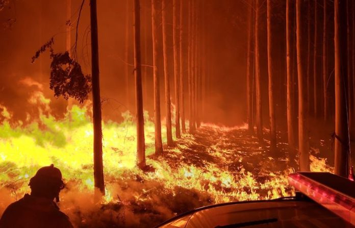 Greenpeace reporta que 6 incendios en la Patagonia argentina arrasan con 37.618 hectáreas