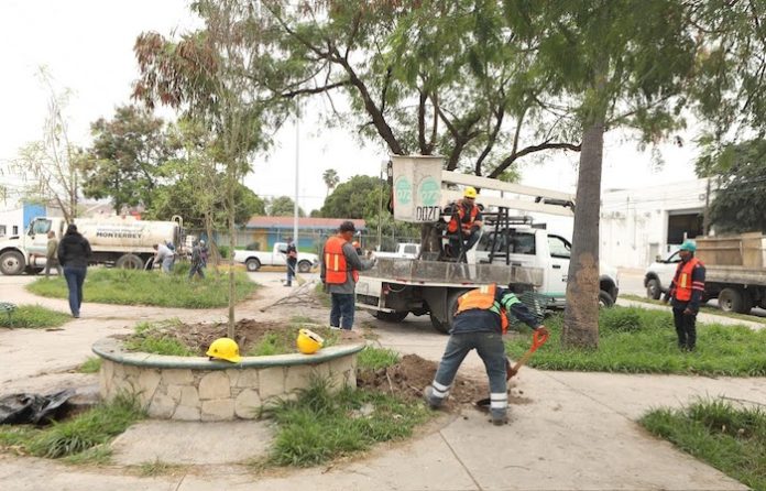Monterrey impulsa acciones simultáneas para mejorar infraestructura y espacios públicos