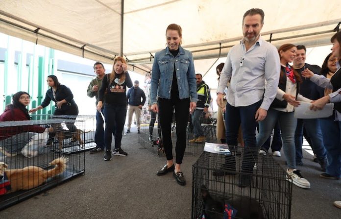 Monterrey promueve la adopción responsable de mascotas en feria “Amor que deja huella”