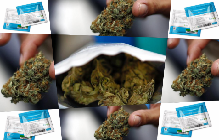 El 42% de universitarios uruguayos que usan opioides lo hace sin prescripción médica