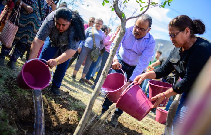 Escobedo refuerza reforestación con mil árboles más; meta de 30 mil para 2027