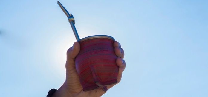 Científicos de Argentina y otros países descubren el genoma de la yerba mate y su cafeína
