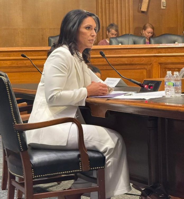 Comité del Senado aprueba a Tulsi Gabbard como próxima directora de Inteligencia de EU