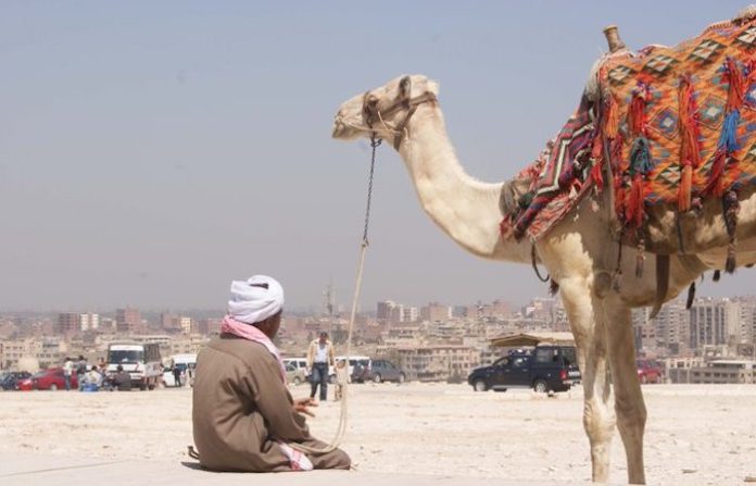 Egipto acogerá el día 27 cumbre extraordinaria de Liga Árabe sobre problema palestino