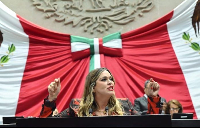 Infraestructura eléctrica en Nuevo León: obsoleta y sin mantenimiento, denuncia diputada Ana González del PRI