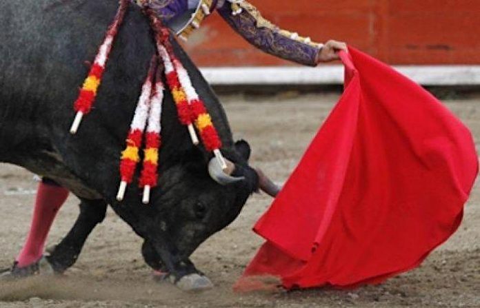 Congreso de Ciudad de México aprueba corridas de toros sin violencia contra animales